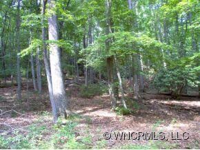View into timbered hillside