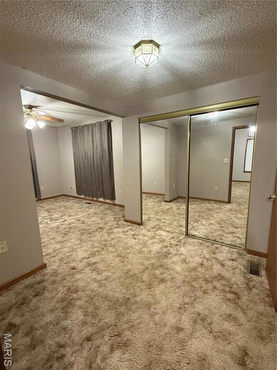 8653 Reichl Dr, Cedar Hill, MO 63016 - photo 7