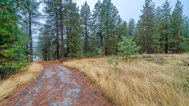 1586 Grizzly Rd, Portola, CA 96122 - photo 3