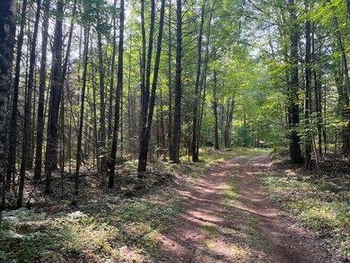 Logging road