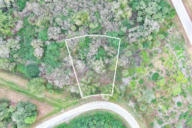 173 Carousel Ave, Fort Denaud, FL 33935 - photo 2