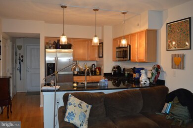 The Aurora Condominiums unit 414, Silver Spring, MD 20910 - photo 4
