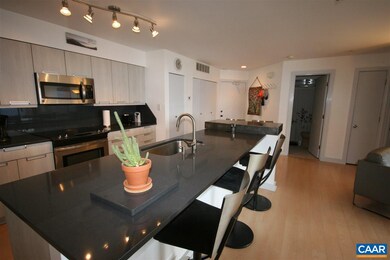 1509 Cliffs, Wintergreen Resort, VA 22967 - photo 5