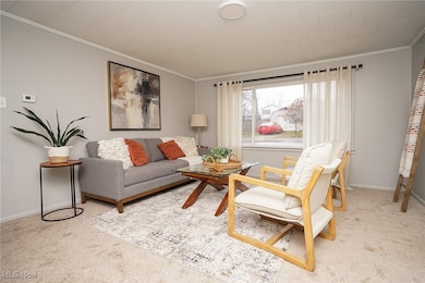 457 Cherry Fork Ave, Leetonia, OH 44431 - photo 5