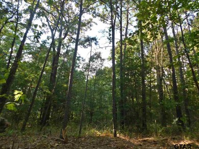 14670 Jade Forest Trail, Tyler, TX 75707 - photo 6