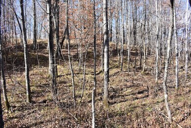 N13315 Harper Rd, Athelstane, WI 54104 - photo 3