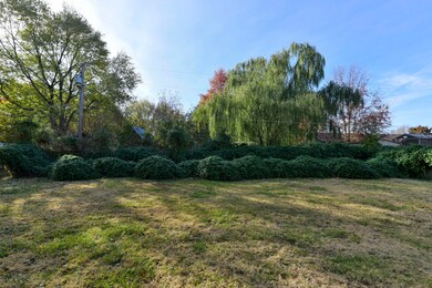 DSC_1948