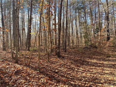 View of local wilderness