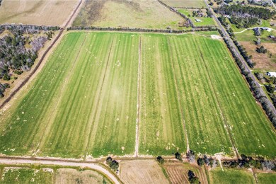Expansive, flat farmland with lush green fields, b