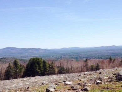 85 Knox Mountain Rd unit 1, Ossipee, NH 03814 - photo 7