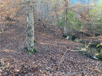 0 Nc Highway 134 N unit 1054741, Star, NC 27375 - photo 5