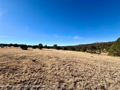 118 Rainmaker Dr, Alto, NM 88312 - photo 7