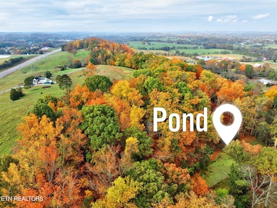 3-web-or-mls-4217-hwy-411