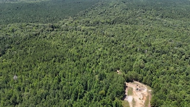 Shady Grove Road Lot unit Wp001, Saline, LA 71070 - photo 2