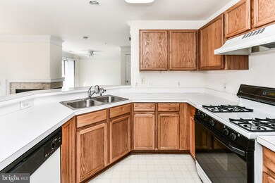 46934 Courtyard Square unit 301, Sterling, VA 20164 - photo 7