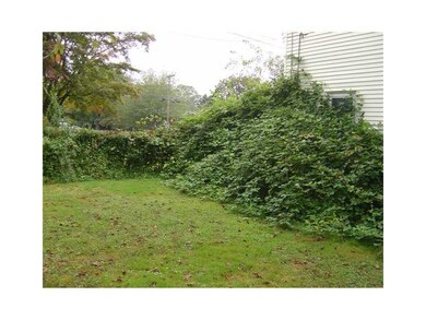 Yard/Garden.