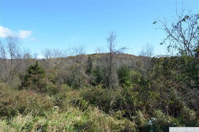 0 Vosburgh Rd, Red Hook, NY 12571 - photo 3