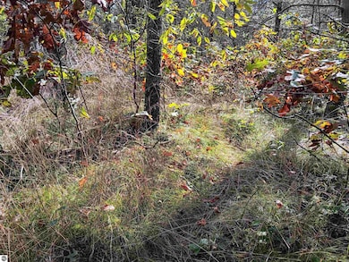 1433 S Peacock Trail, Baldwin, MI 49304 - photo 4