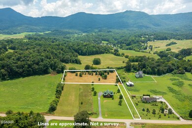 4151 Newport Hwy, Sevierville, TN 37876 - photo 3