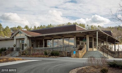 368 Sandpiper Dr, Basye, VA 22810 - photo 4