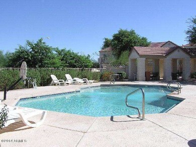 pool scorpio