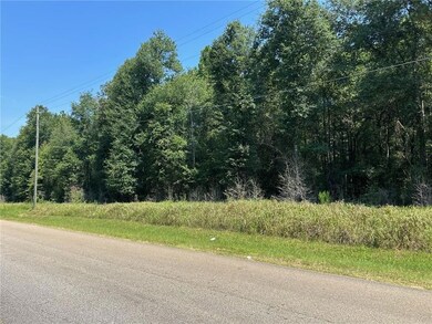 Danner Dr, Wilmer, AL 36587 - photo 2