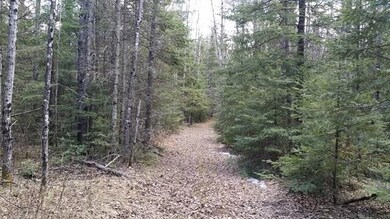Lot 2 Wood Tick Ln, Tomahawk, WI 54487 - photo 7