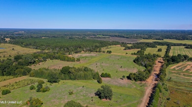 0 Middleton Rd, Flora, MS 39071 - photo 7