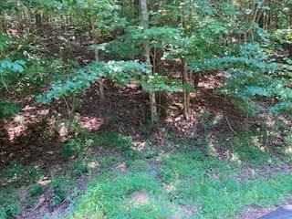 Lt 914 Villa Dr, Ellijay, GA 30540 - photo 3