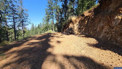 4125 Jackson Ln NE, Silverton, OR 97381 - photo 6