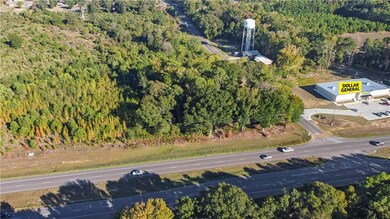 121 Highway 3130, Pollock, LA 71467 - photo 4