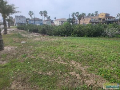 201 W Venus Ln unit 6, South Padre Island, TX 78597 - photo 5