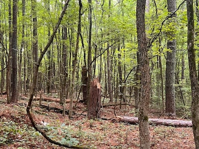 0 Lamb Rd unit 24477803, Moreland, GA 30259 - photo 5