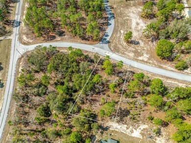 10725 N Moreno Dr, Citrus Springs, FL 34433 - photo 5