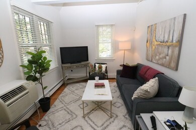 311 River St unit 2, Cambridge, MA 02139 - photo 3