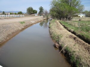 peterson rd 006