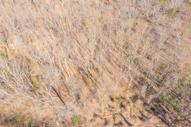 Aerials E Randall Land HD -3