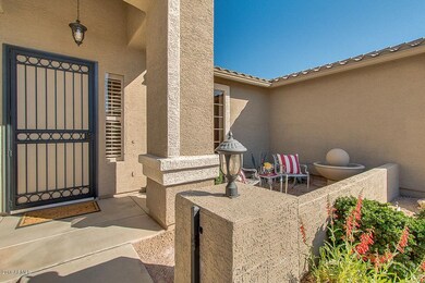Iron Screen Door