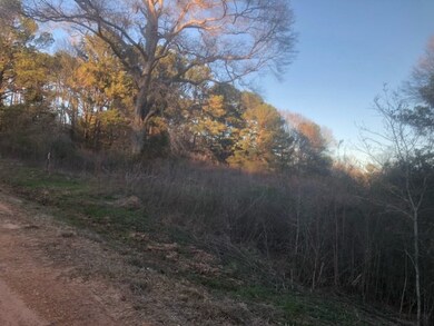 TBD Integrity Rd Lot #13, McComb, MS 39648 - photo 5