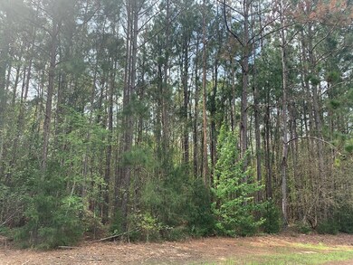 6000 James Rd, Albany, GA 31705 - photo 2