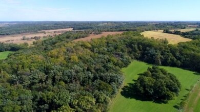 29 AC Legler Rd, Brooklyn, WI 53521 - photo 7
