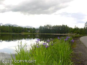 cheneylake2