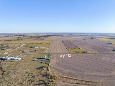 Tbd Fm 112, Thrall, TX 76578 - photo 4