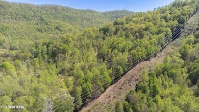 20250211184125126503000000-o