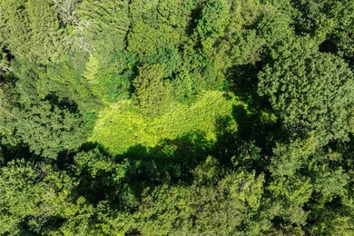 Several acres were cleared for homesite