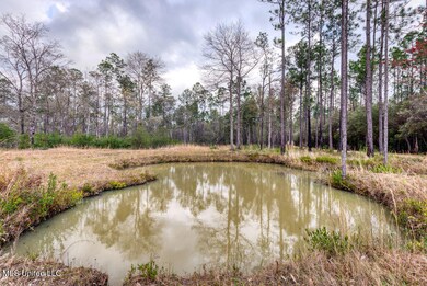 First Pond at Entry Bridge