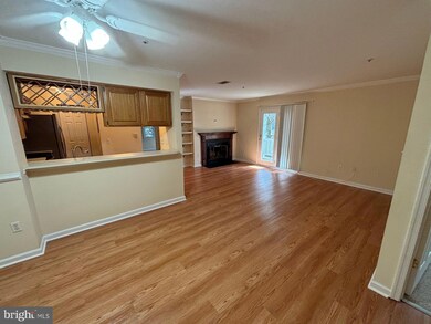 12220 Eagles Nest Ct unit F, Germantown, MD 20874 - photo 7