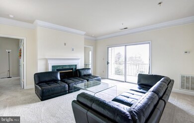 11306 Westbrook Mill Ln unit 202, Fairfax, VA 22030 - photo 2