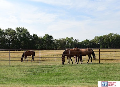 416 E Roscoe St, Endicott, NE 68350 - photo 5