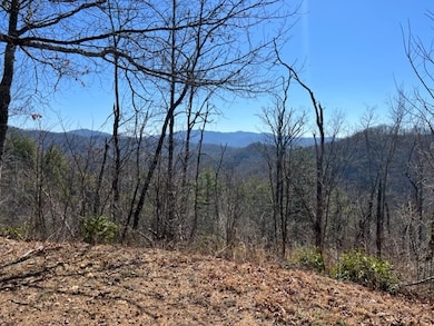 Lot 4 Mystic Ridge Way W, Topton, NC 28734 - photo 3